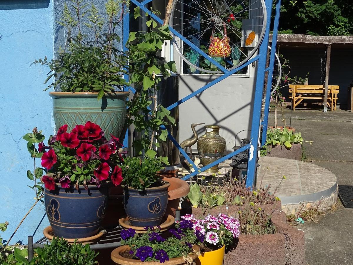 Hotel Gasthof Blaues Haus Bastorf Zewnętrze zdjęcie