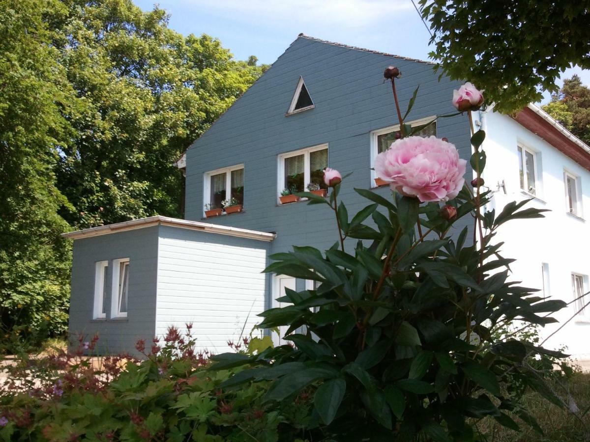 Hotel Gasthof Blaues Haus Bastorf Zewnętrze zdjęcie